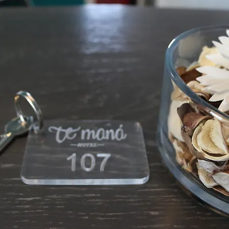 Hotel Te Mana